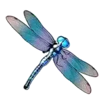 Libelle Symbol